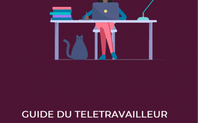 Guide des bonnes pratiques de sécurité du  Télétravailleur